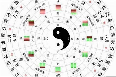 五行多木|八字木多的人命运如何 八字木多的人有什么特点